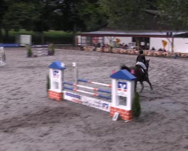 Reit- und Springturnier des LRFV Recklinghausen e.V. vom 23.-26.08.2012