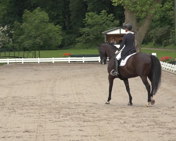 Reitturnier Nörten-Hardenberg 2024