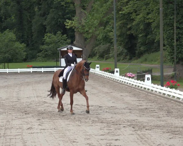 Reitturnier Nörten-Hardenberg 2024