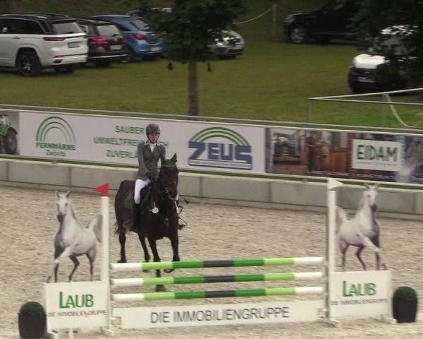 Reitturnier Dorfchemnitz 2024