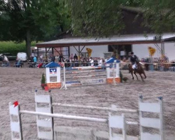 Reit- und Springturnier des LRFV Recklinghausen e.V. vom 23.-26.08.2012