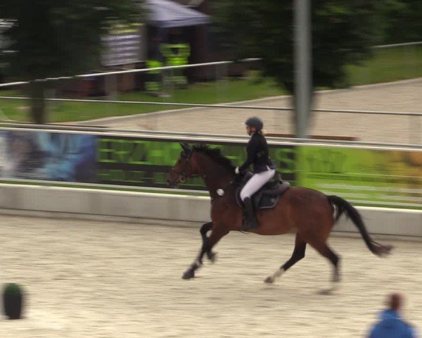 Reitturnier Dorfchemnitz 2024