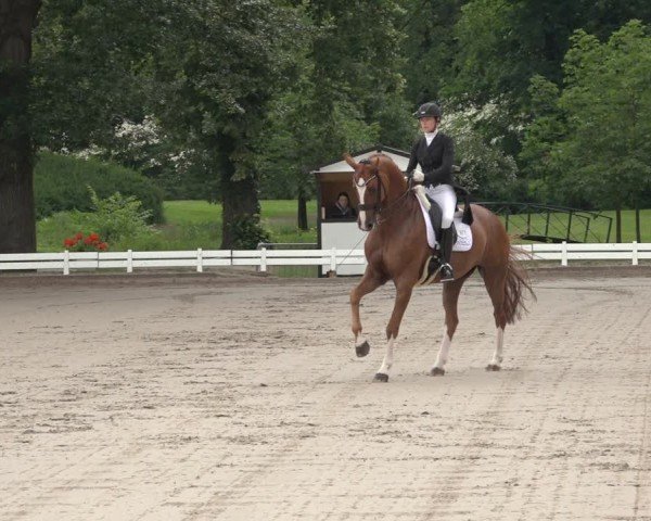 Reitturnier Nörten-Hardenberg 2024
