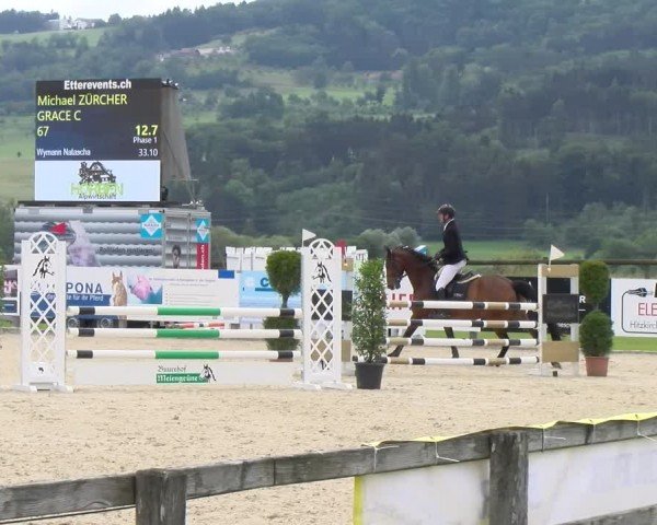 Reitturnier Hitzkirch 2024
