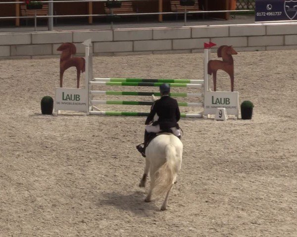 Reitturnier Dorfchemnitz 2024