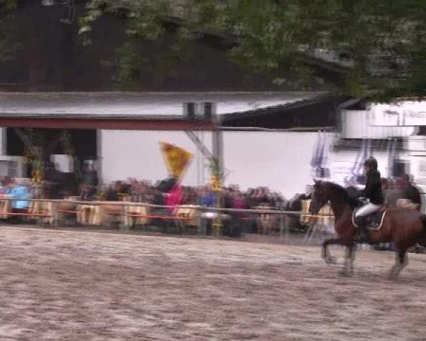 Reit- und Springturnier des LRFV Recklinghausen e.V. vom 23.-26.08.2012