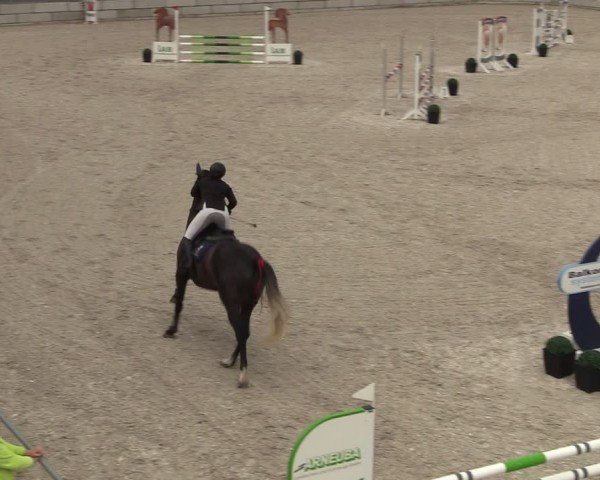 Reitturnier Dorfchemnitz 2024
