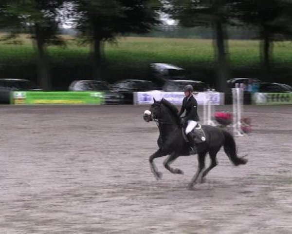 Reit- und Springturnier des LRFV Recklinghausen e.V. vom 23.-26.08.2012