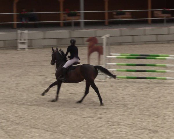 Reitturnier Dorfchemnitz 2024