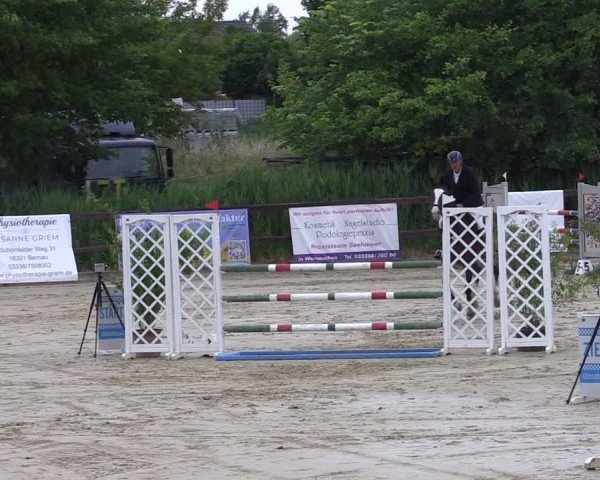 Reitturnier Schönfeld 2024