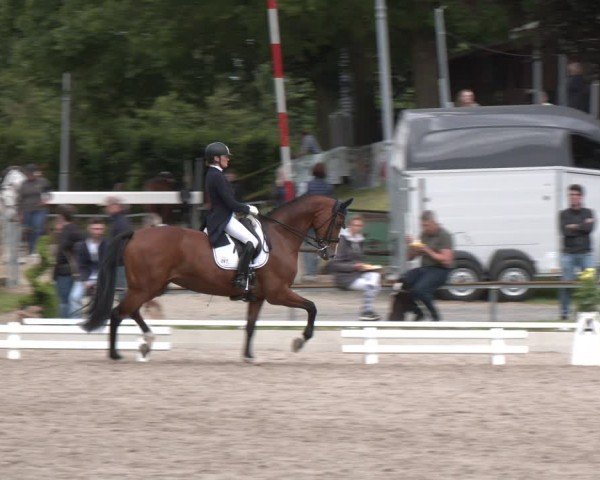 Reitturnier Fröndenberg 2024