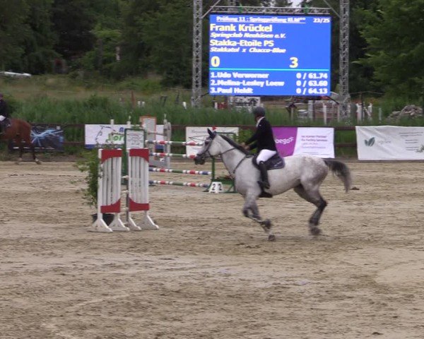 Reitturnier Schönfeld 2024