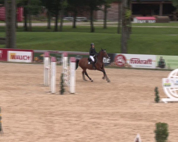 Reitturnier Stadl-Paura 2024