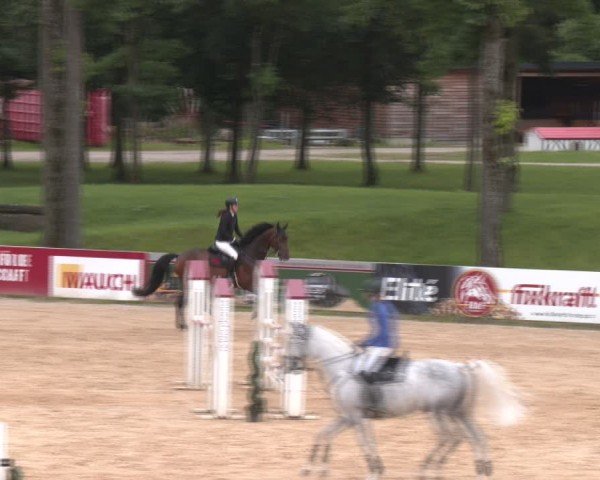 Reitturnier Stadl-Paura 2024