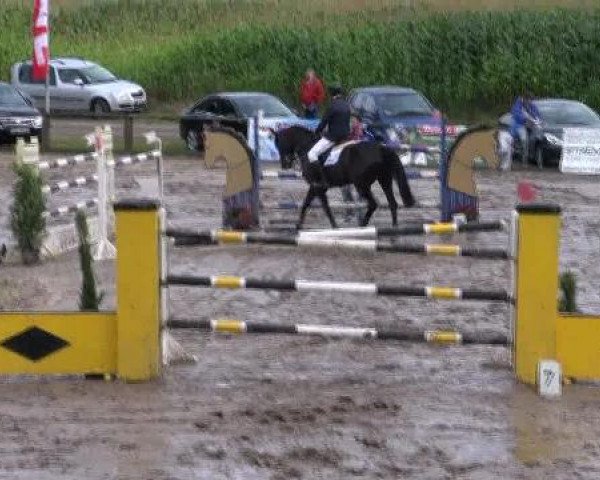 Reit- und Springturnier des LRFV Recklinghausen e.V. vom 23.-26.08.2012