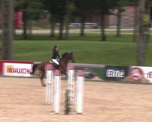 Reitturnier Stadl-Paura 2024