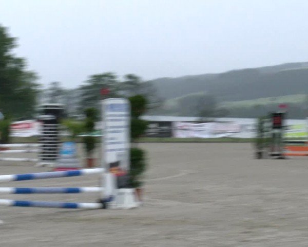 Reitturnier Hitzkirch 2024