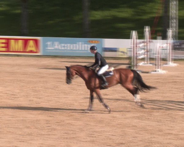 Reitturnier Stadl-Paura 2024