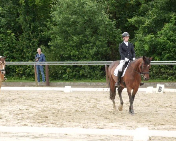 Reitturnier Winnenden 2024