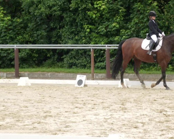 Reitturnier Winnenden 2024