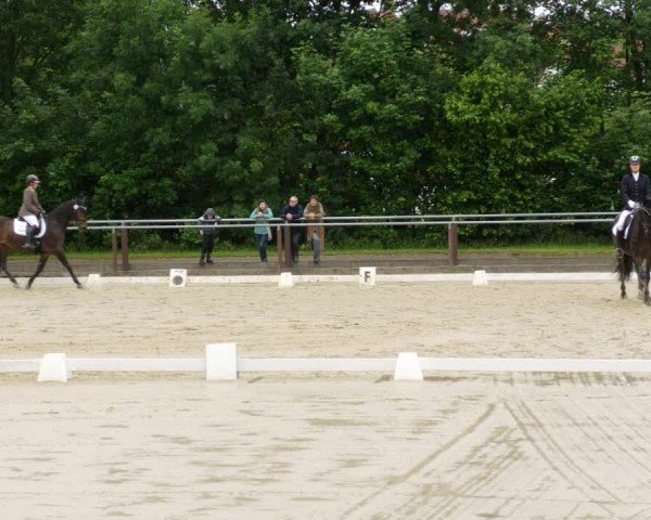 Reitturnier Winnenden 2024