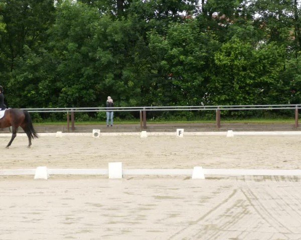Reitturnier Winnenden 2024