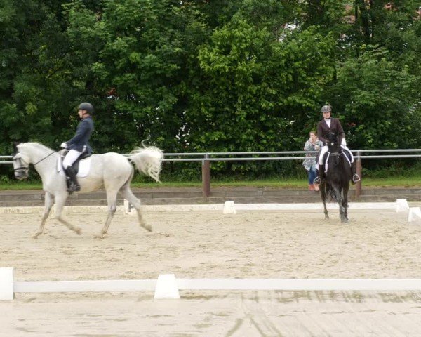 Reitturnier Winnenden 2024