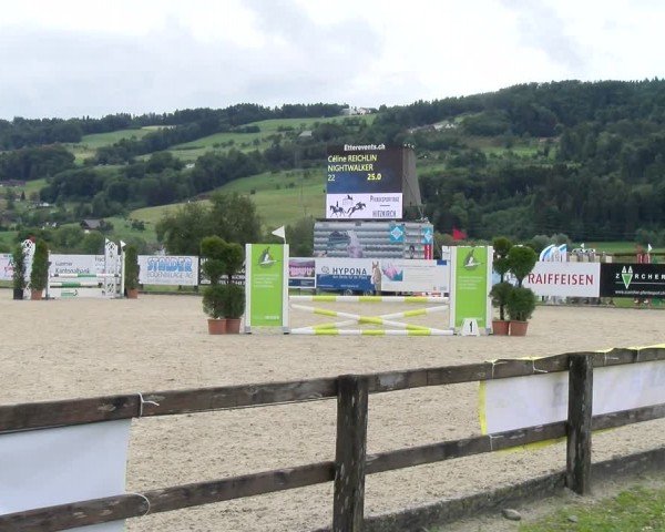 Reitturnier Hitzkirch 2024