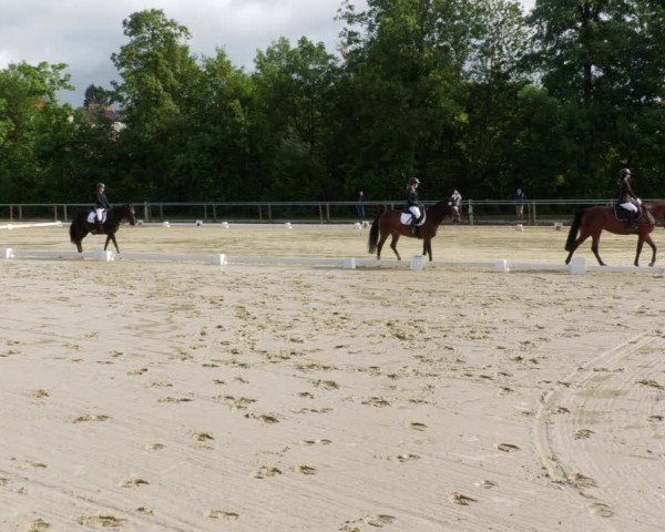 Reitturnier Winnenden 2024