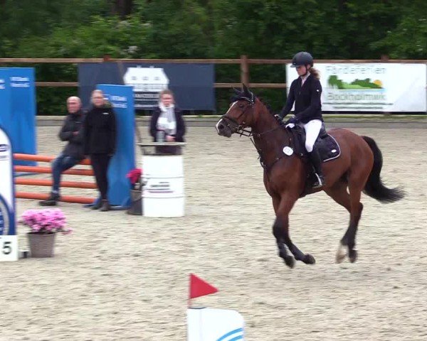 Reitturnier Sörup 2024