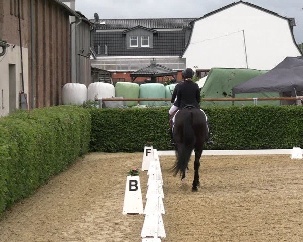 Reitturnier Wingerode 2024