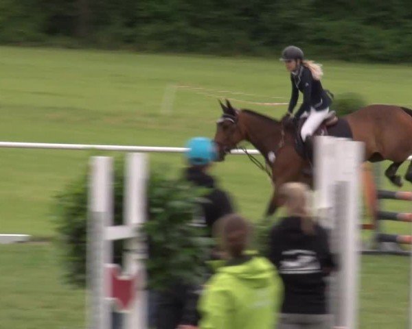 Reitturnier Bad Windsheim/Mfr. 2024