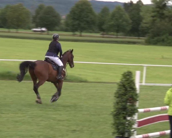 Reitturnier Bad Windsheim/Mfr. 2024