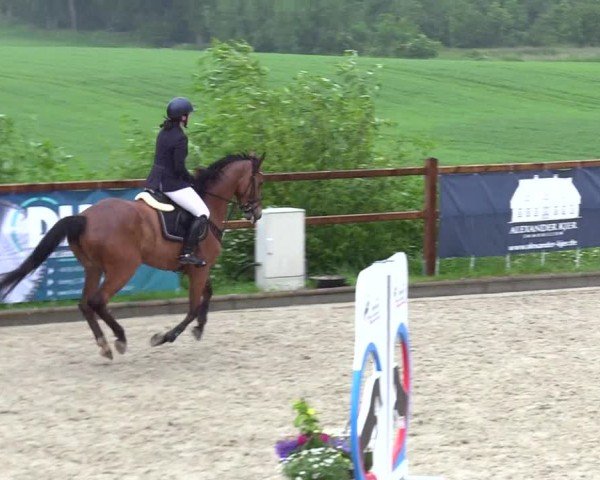 Reitturnier Sörup 2024