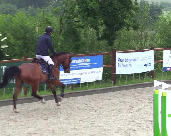 Reitturnier Sörup 2024