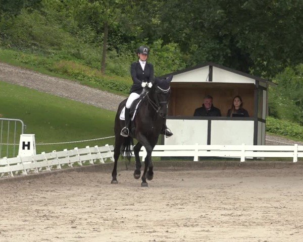 Reitturnier Nörten-Hardenberg 2024