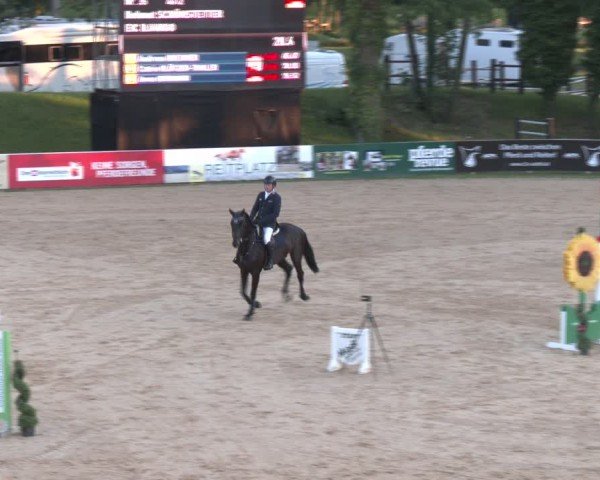 Reitturnier Stadl-Paura 2024