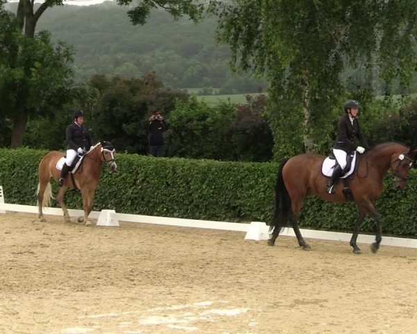 Reitturnier Wingerode 2024