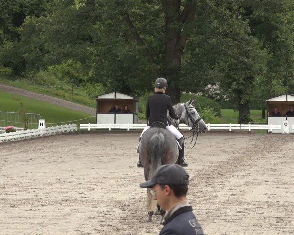Reitturnier Nörten-Hardenberg 2024