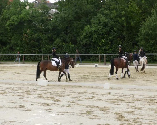 Reitturnier Winnenden 2024