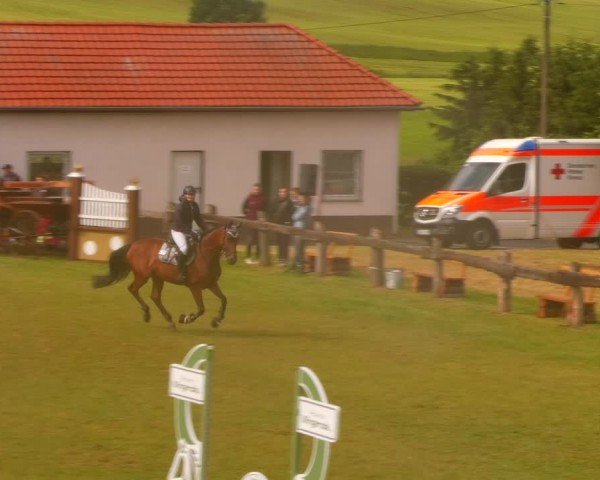 Reitturnier Wingerode 2024