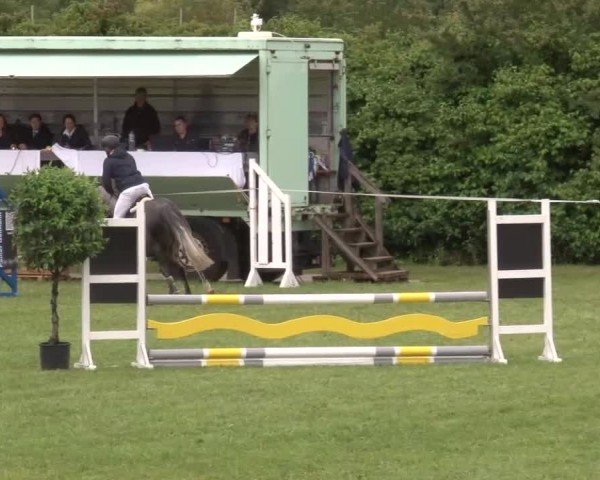 Reitturnier Bad Windsheim/Mfr. 2024