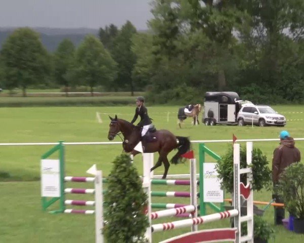 Reitturnier Bad Windsheim/Mfr. 2024
