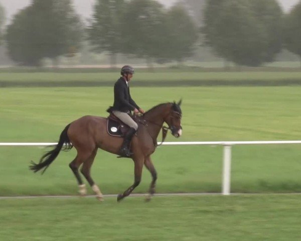 Reitturnier Bad Windsheim/Mfr. 2024