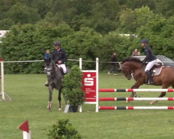 Reitturnier Bad Windsheim/Mfr. 2024
