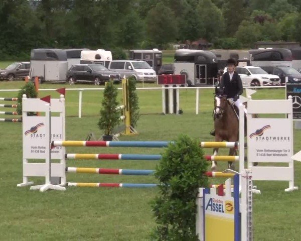 Reitturnier Bad Windsheim/Mfr. 2024