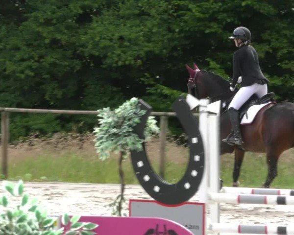 Reitturnier Springe 2024