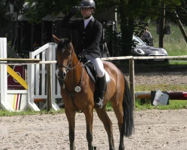 Reitturnier Springe 2024