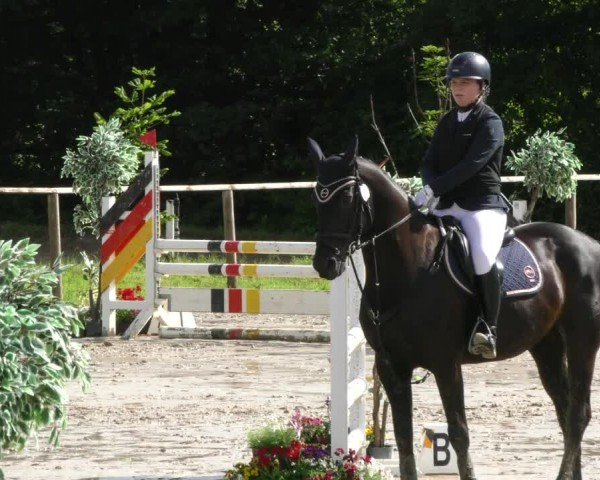 Reitturnier Springe 2024