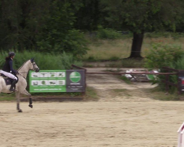 Reitturnier Schönfeld 2024